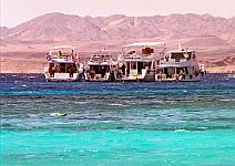 Sharm El-Sheikh, Ägypten. <br>November 2003.<br><br>Photograph: David Gannon<br><br>E-mail: David.Gannon@gmx.de
