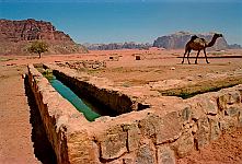 Wadi Rum, Jordanien. <br>Juli 2004.<br><br>Photograph: David Gannon<br><br>E-mail: David.Gannon@gmx.de