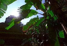 Palenque, Mexiko. <br>Januar 2004.<br><br>Photograph: David Gannon<br><br>E-mail: David.Gannon@gmx.de
