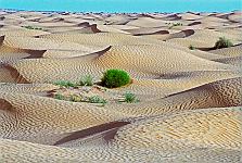 Sahara, Tunesien.<br>April 1998.<br><br>Photograph: David Gannon<br><br>E-mail: David.Gannon@gmx.de