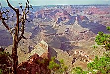 Grand Canyon, Arizona, USA. <br>August 2002.<br><br>Photograph: David Gannon<br><br>E-mail: David.Gannon@gmx.de