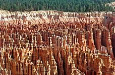 Bryce Canyon, USA. <br>August 2002.<br><br>Photograph: David Gannon<br><br>E-mail: David.Gannon@gmx.de